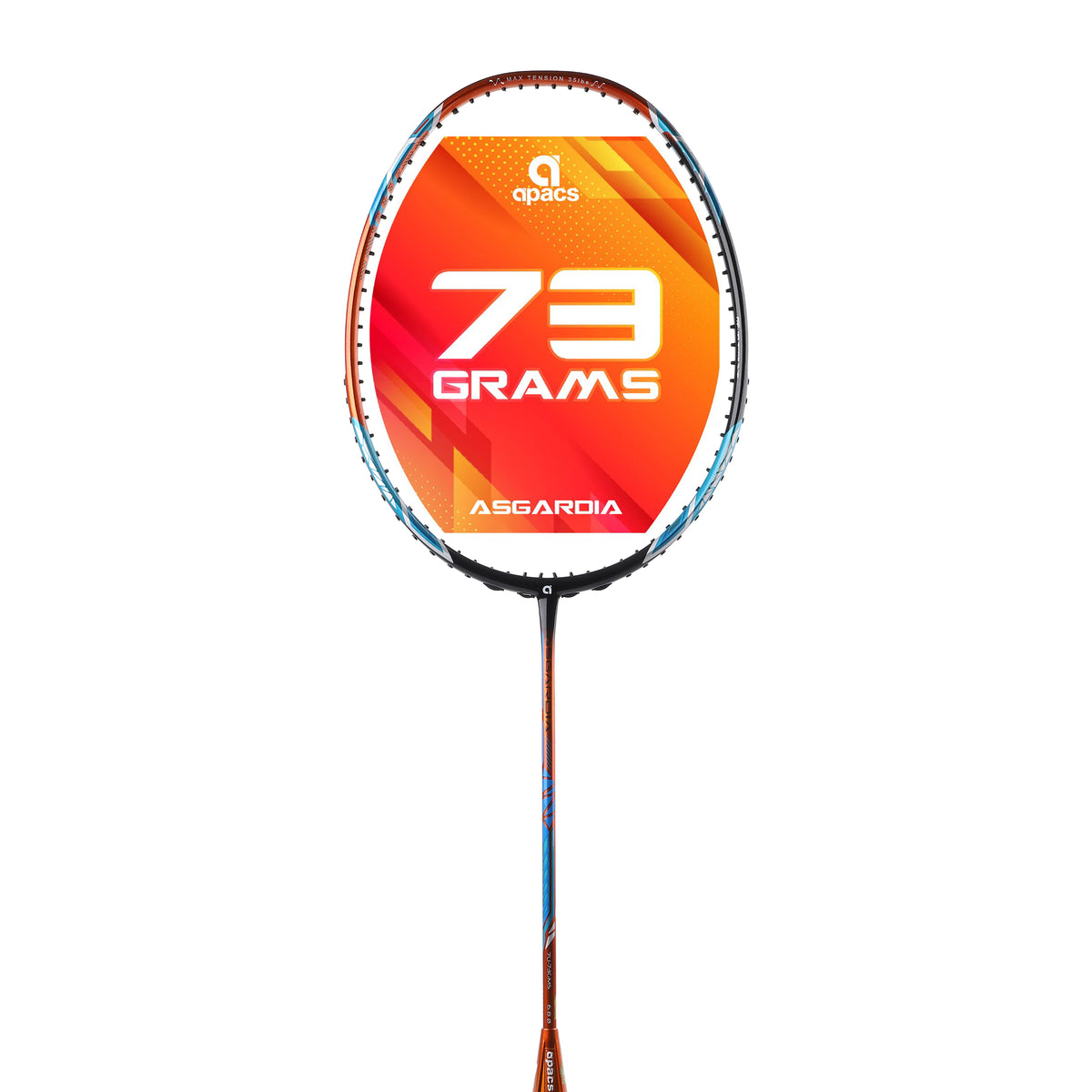 Apacs Asgardia Control - Professional Badminton Racket with Full Cover ...